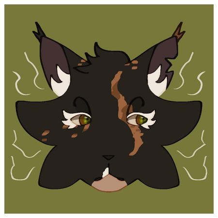 symm. headshot (old)